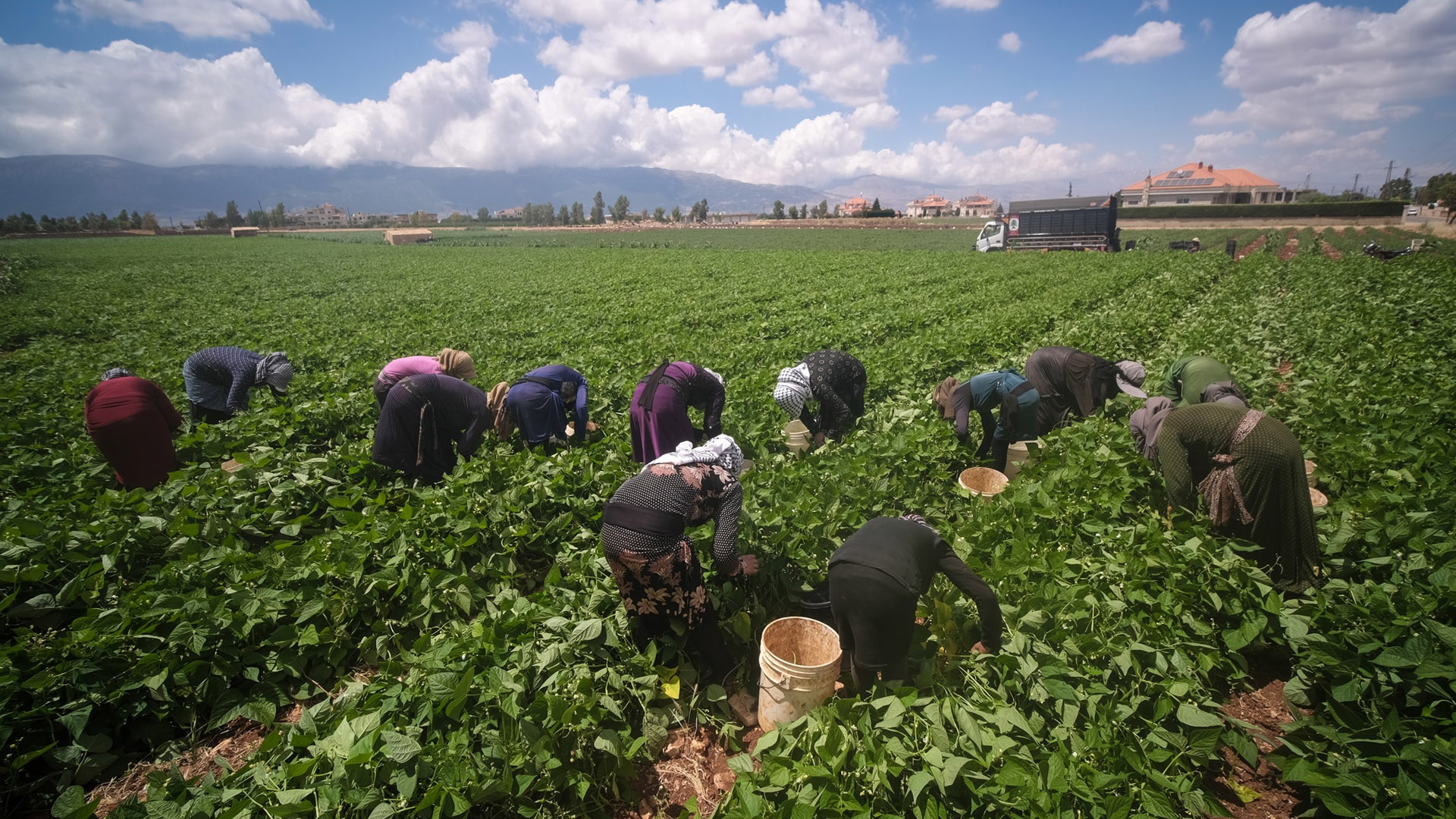 How Lebanese Farmers Are Powering Lebanon’s Food Chain